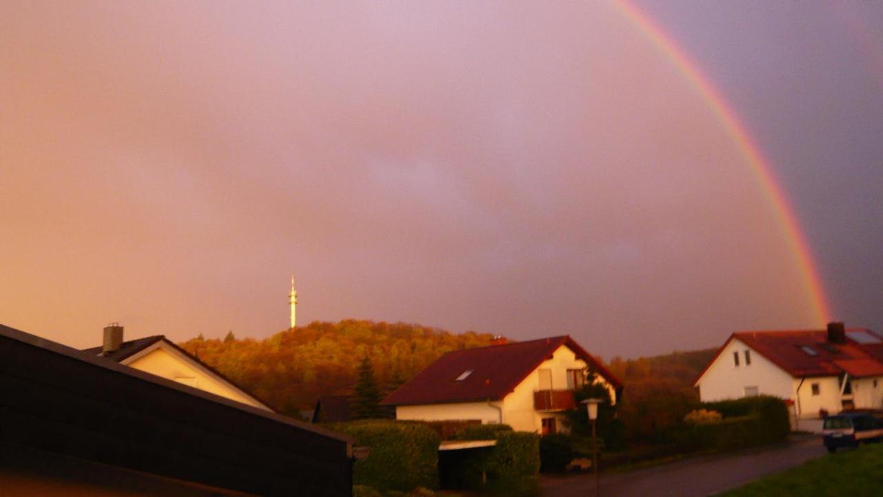 Ferienwohnung Sinsheim-Duehren Esterno foto
